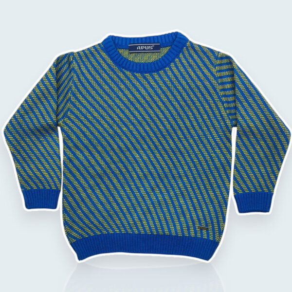 Apus Boy’s Jacquard Sweater Pullover