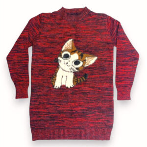 Apus trendy women sweater