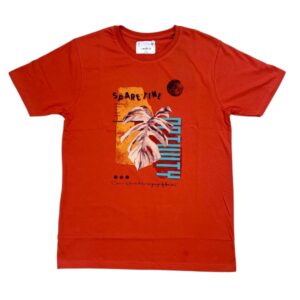 Mens T-shirt